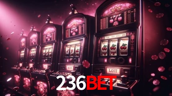 Experiência VIP 236BET