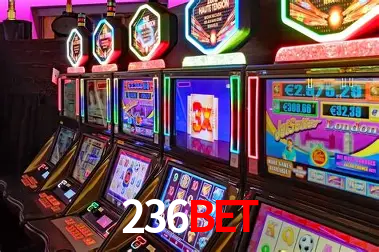 Apostas Esportivas na 236BET: Um Guia Completo