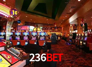 Apostas Esportivas na 236BET: Um Guia Completo